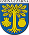 gmina_czarna.png